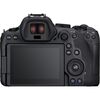 EOS R6 MARK II 1