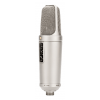 RODE Microfone NT2-A