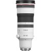 CANON RF 100-300mm f/2.8 L IS USM