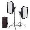 GODOX Kit Duplo Iluminador LED Litemons LA 200D