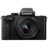PANASONIC LUMIX DC-G100D + Lumix G Vario 12-32mm f/3.5-5.6 ASPH + Panasonic Lumix G Vario 35-100mm f/4-5.6 ASPH
