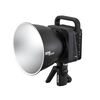 ZHIYUN Iluminador LED Bi-color G300