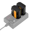 K&F CONCEPT Bateria NP-FZ100 2000mAh