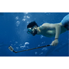TELESIN Selfie Stick com Cabeça de Bola para Action Cam