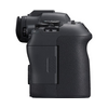 CANON EOS R6 MARK II + RF 28-70mm f/2.8 IS STM