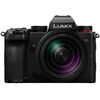 PANASONIC Lumix S5D + S 28-200mm f/4-7.1
