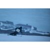 SIGMA 300-600mm f/4 DG OS Sports L-mount