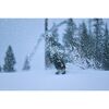 SIGMA 300-600mm f/4 DG OS Sports L-mount
