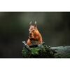 SIGMA 300-600mm f/4 DG OS Sports L-mount