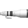 SIGMA 300-600mm f/4 DG OS Sports L-mount