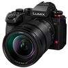PANASONIC LUMIX S1 II  + S 24-105mm f/4 Macro OIS