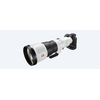 SONY FE 600mm f/4 GM OSS