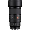 SONY FE 100mm f/2.8 Macro GM