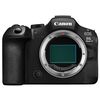 CANON EOS R6 Mark III + RF 24-105mm f/4-7.1 IS STM