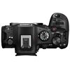 CANON EOS R6 Mark III + RF 24-105mm f/4-7.1 IS STM