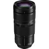 PANASONIC Lumix S 100-500mm f/5-7.1 OIS
