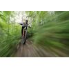 CANON EOS R6 Mark III + RF 24-105mm f/4-7.1 IS STM