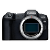 CANON EOS R8 + CANON RF 28-70mm f/2.8 IS STM