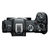 CANON EOS R8 + RF 24-105mm f/4-7.1 IS STM