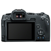 CANON EOS R8 + CANON RF 28-70mm f/2.8 IS STM