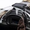 THINK TANK Emergency Capa de chuva RealTree APX - M