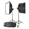 GODOX Kit Flash de Estúdio MS200-F 200W