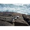 DJI Lito X1 RC-2 Fly More Combo