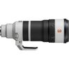 SONY FE 100-400 f/4.5 GM OSS