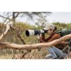 SONY FE 100-400 f/4.5 GM OSS