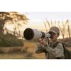 SONY FE 100-400 f/4.5 GM OSS