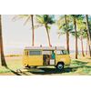 CINESTILL Rolo Cor 135 CineStill 50D - 36exp