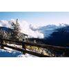 CINESTILL Rolo Cor 135 CineStill 50D - 36exp