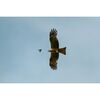 FUJIFILM Fujinon XF 400mm f/4.5 R LM OIS WR