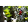 FUJIFILM Fujinon XF 400mm f/4.5 R LM OIS WR