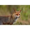 FUJIFILM Fujinon XF 400mm f/4.5 R LM OIS WR