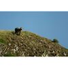FUJIFILM Fujinon XF 400mm f/4.5 R LM OIS WR