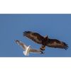 FUJIFILM Fujinon XF 400mm f/4.5 R LM OIS WR