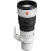SONY FE 600mm f/6.3 GM OSS