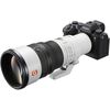 SONY FE 600mm f/6.3 GM OSS