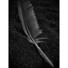 OM SYSTEM PEN Preto - Corpo