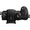 PANASONIC LUMIX DC-GH5 II + Leica DG Vario-Elmarit 12-60mm f/2.8-4 ASPH. POWER O.I.S