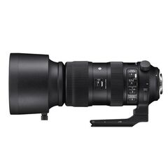SIGMA 60-600mm f/4.5-6.3 DG DN OS L-MOUNT (1)