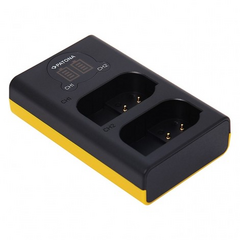 PATONA Carregador Duplo para Panasonic DMW-BLK22