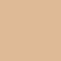 SAVAGE Fundo de Papel Beige #25 - 2.72x11m