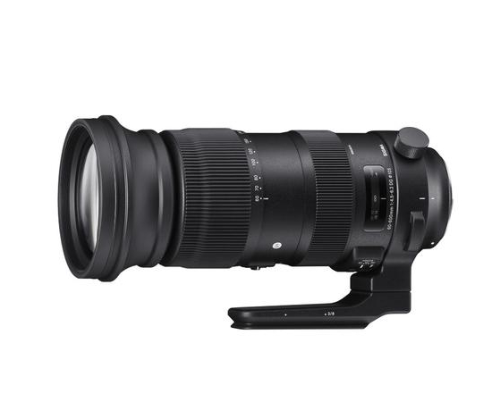 SIGMA 60-600mm f/4.5-6.3 DG DN OS L-MOUNT (2)