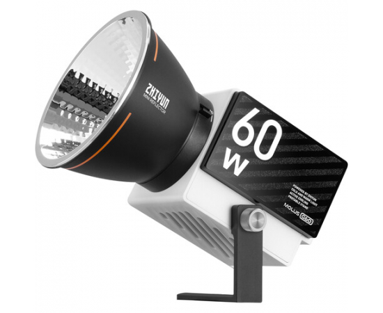 ZHIYUN Iluminador LED Bi-Color MOLUS G60