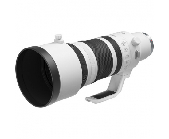 CANON RF 100-300mm f/2.8 L IS USM