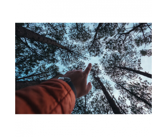SAMYANG Lente 12mm f/2.0 para Fujifilm X -C