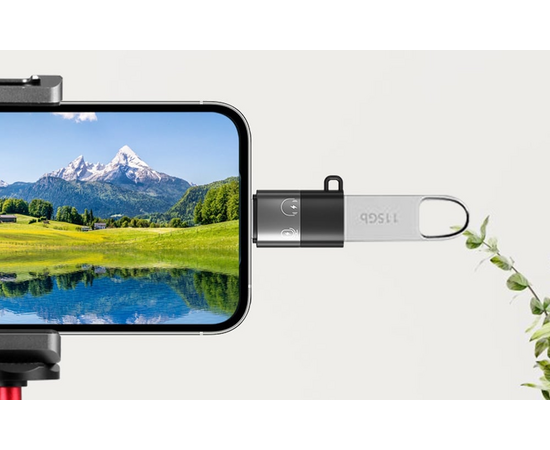 PULUZ Adaptador USB-C Fêmea / Lightning Macho