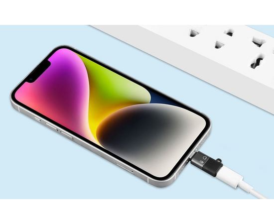PULUZ Adaptador USB-C Fêmea / Lightning Macho